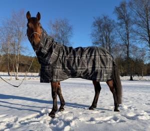 Hästson Utetäcke m. Hals 100g 1200D