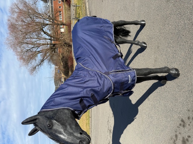 Hästson Utetäcke m Hals 50g 1200D