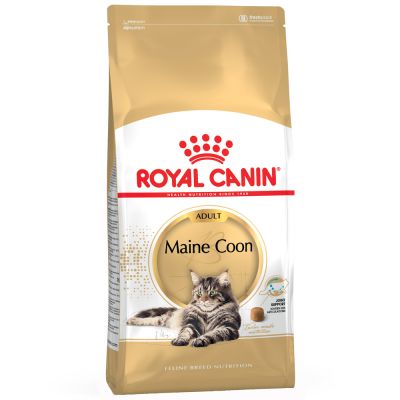 royal canine maine coon