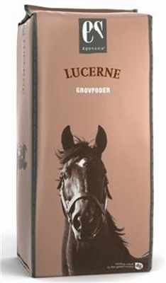 equsana lucerne