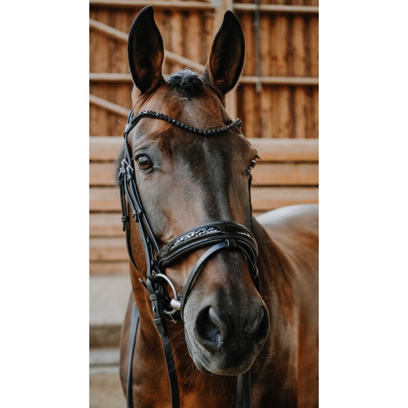 Norton Royal Svart Full