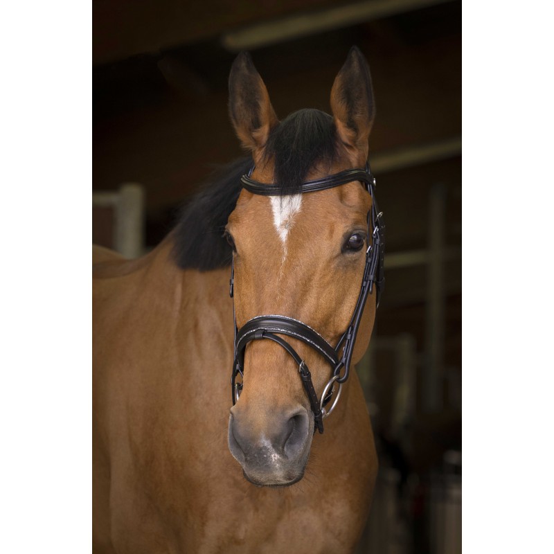 Norton Pro Rock Svart Full