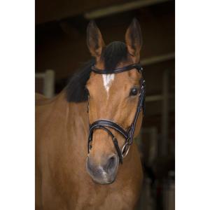 Norton Pro Rock Svart Full