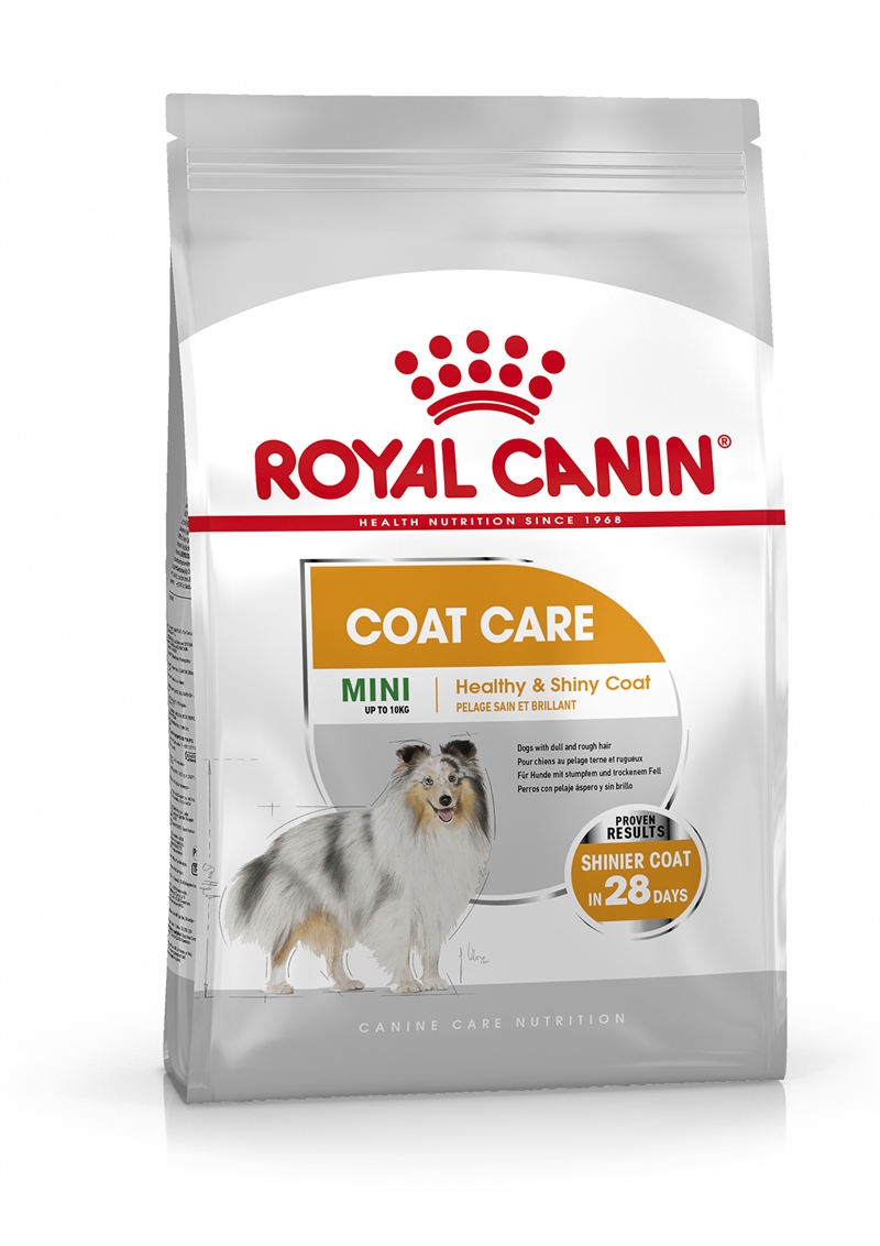 royal canine mini coat care