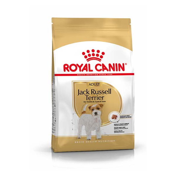 royal canine jack russel