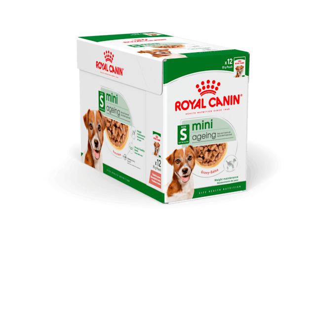 Mini Adult Wet 12x85g