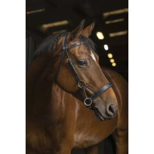 Norton Pro Sidepull Confort Svart Full