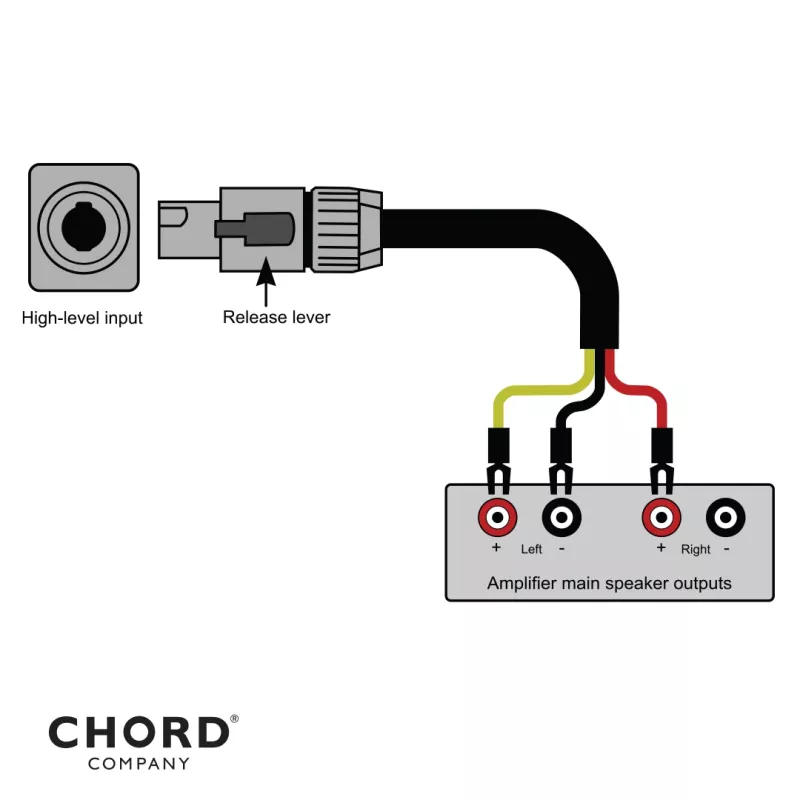 Chord Company Epic REL Subwoofer
