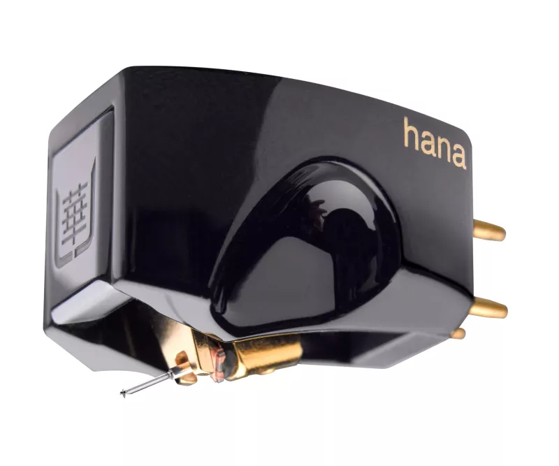 HANA Umami Black