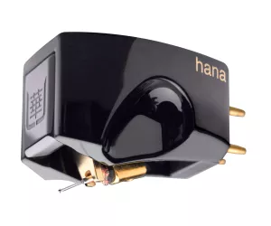 HANA Umami Black