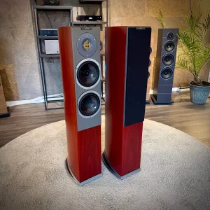 Audiovector R 3 Avantgarde - Demoex