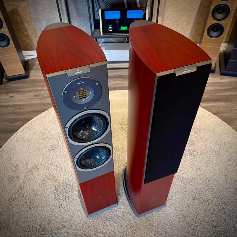Audiovector R 3 Avantgarde - Demoex