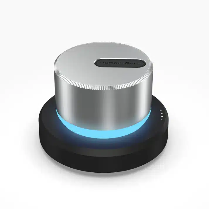 HumminGuru LUMI Record Stabilizer