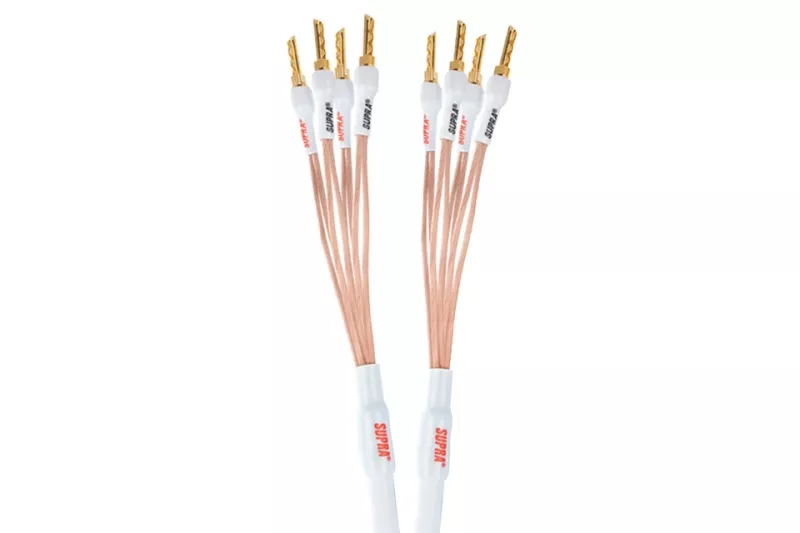 Supra XL ANNORUM - Bi-amp