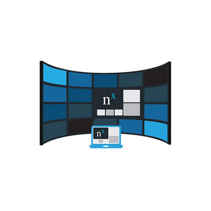 NX Witness Video Wall License