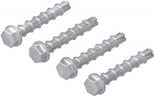 Concrete Anchor Bolt 8x55 4-pack