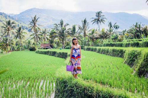 Hinza bag Small Purple - Green Plastic