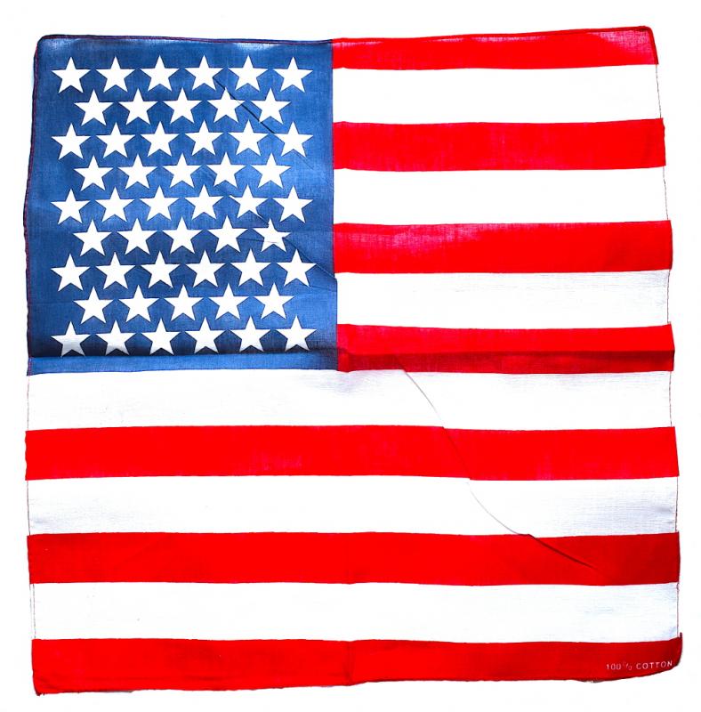 USA FLAGGA BANDANA SCARF