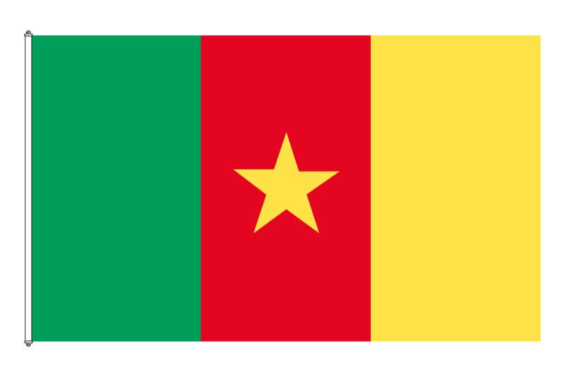 Kamerun Flagga