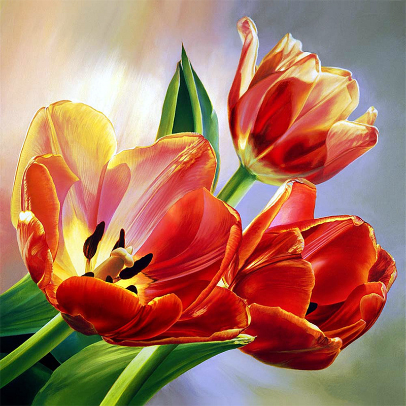 40X40 cm 1-2 dag lev. Diamond painting 5D square.