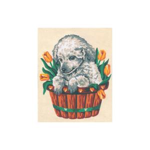 Broderi kit Tryckt Canvas "Hundvalp" 14x18 cm.