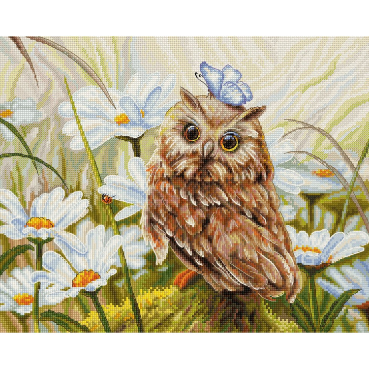 Embroidery kit Lucky Owl 30x24 cm