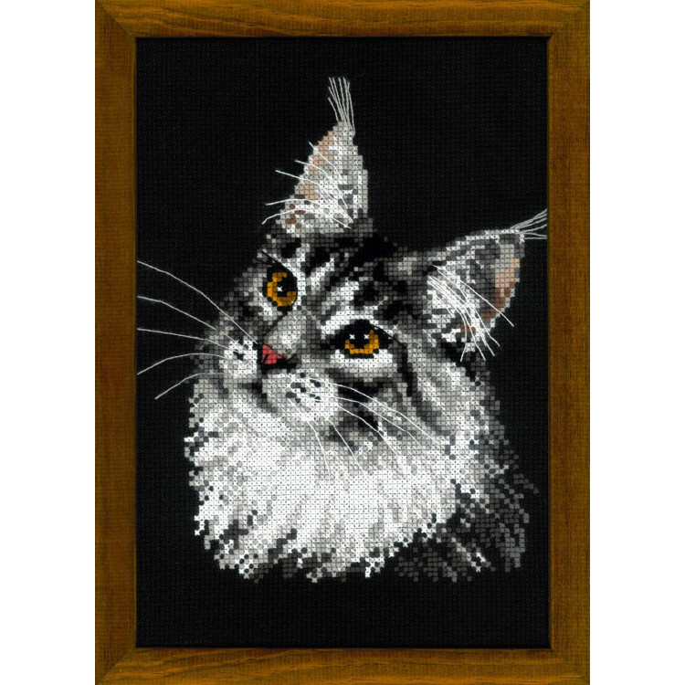 Embroidery Cat Maine Cone 21x30 cm.