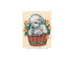 Broderi kit Tryckt Canvas "Hundvalp i korg" 14x18 cm.