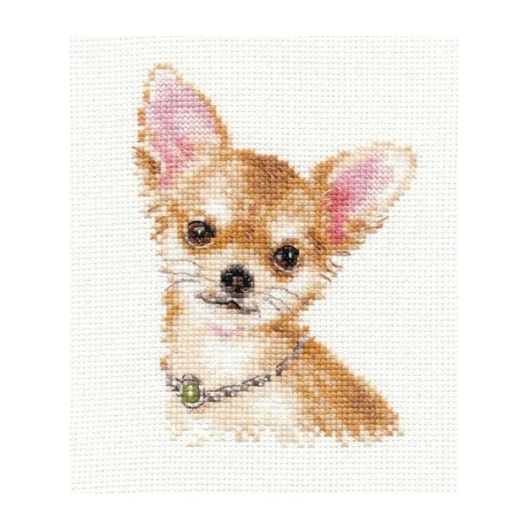 Broderikit Chihuahua 10x13 cm
