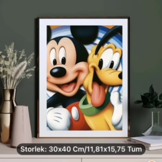 Diamond Painting Mickey and Dog 30x40 cm.