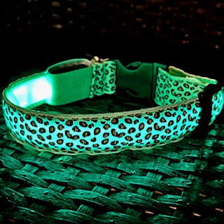 Dogcollar with Light