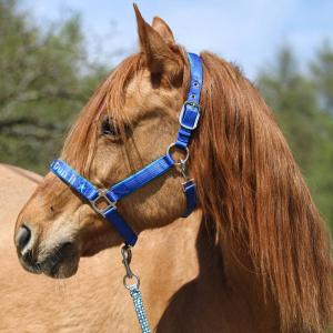 Öljetter 25-pack Ø 5,2 mm. Black