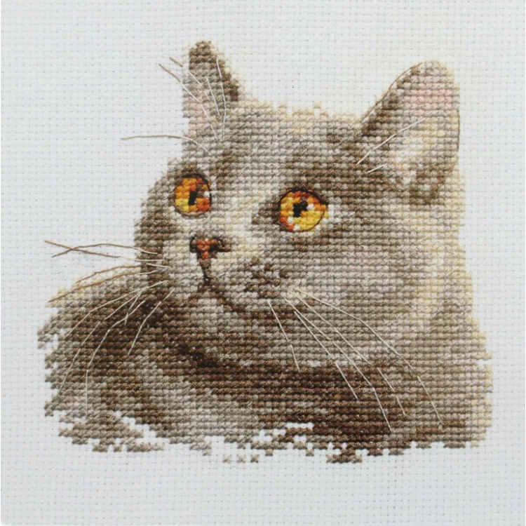 Broderikit British Cat 12x11 cm