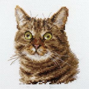 Broderi kit med "Cat's Eyes " 11x12cm