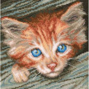 Embroidery kit "Fluffy Observer" 18x18 cm.