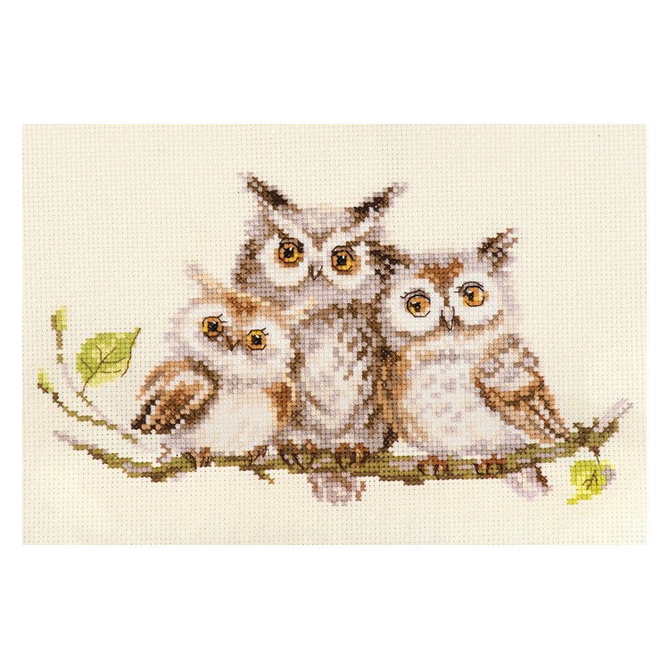 Embroidery Kit 3 Owls 22x13 cm.