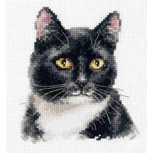 Broderi kit med "Black Cat " 11x12cm