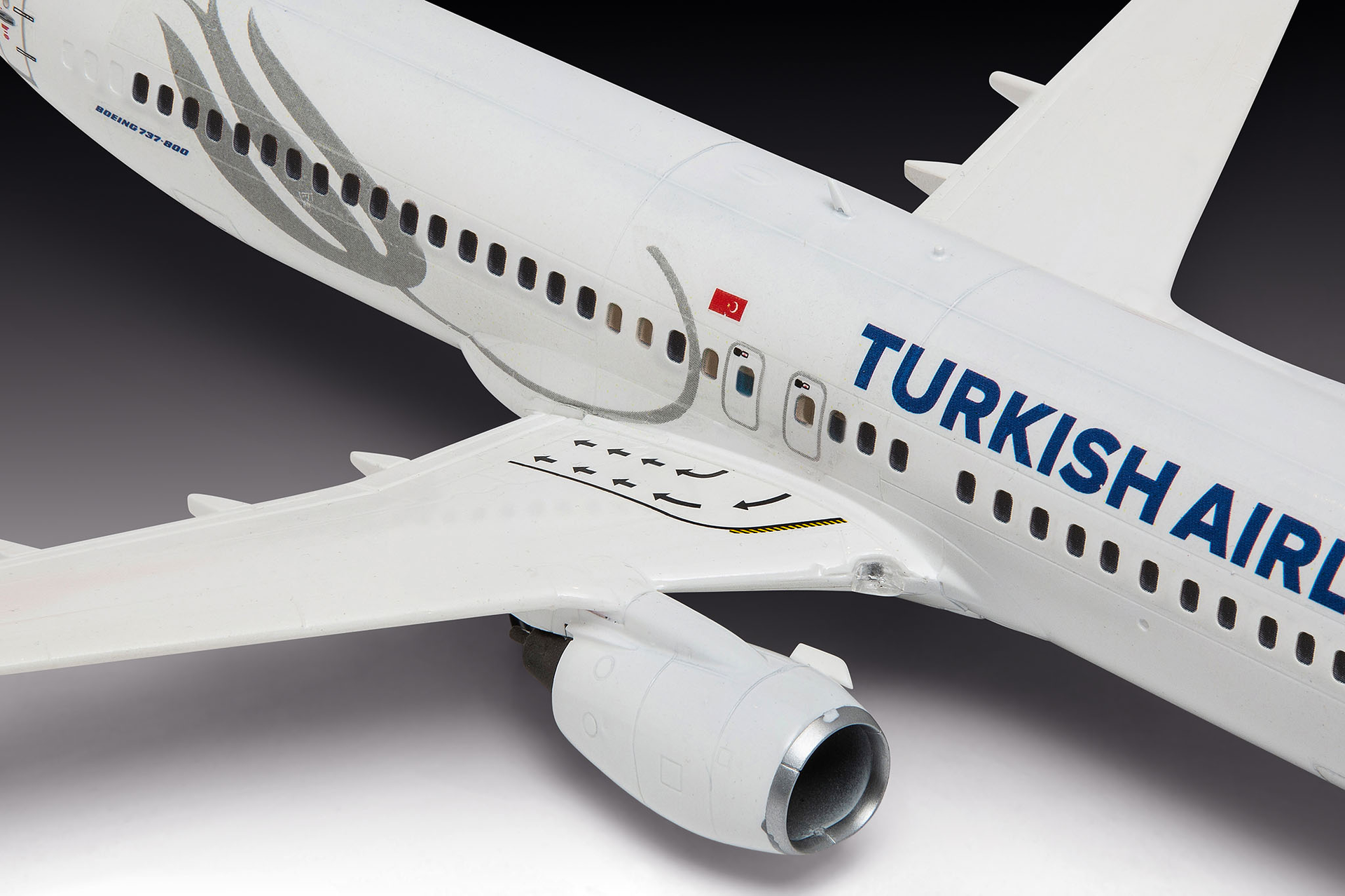Boeing 737-800 
