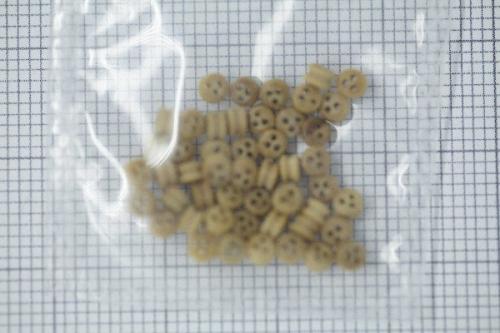 Vantjungfru trä 2mm 50-pack