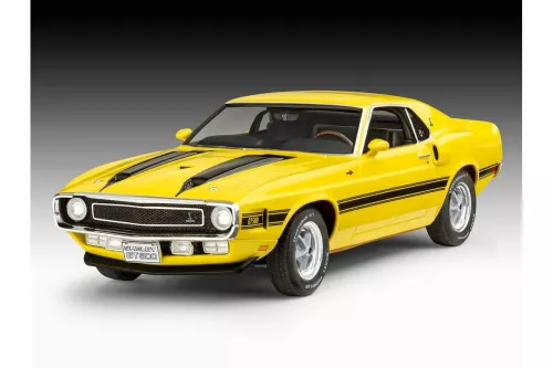 70 Shelby Mustang GT500 1/25