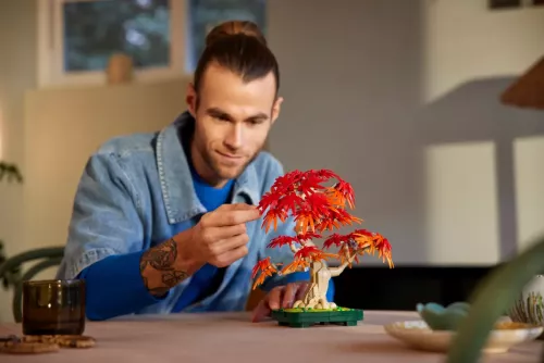 Lego Botanicals Bonsaiträd: Japansk Lönn 10348