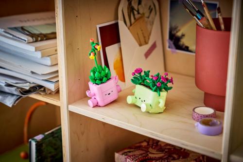 LEGO Botanicals Gungande växter 11506