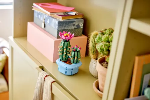 LEGO Botanicals Blommande kaktus 11509