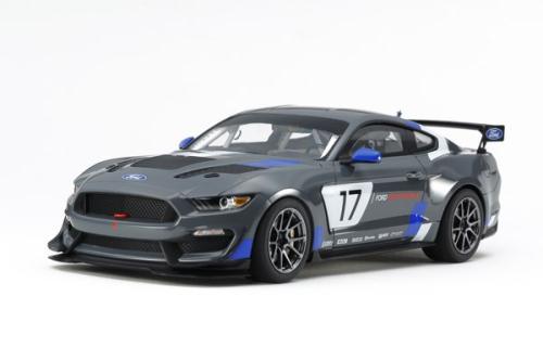 Ford Mustang GT4 1/24