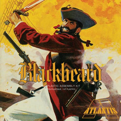 Blackbeard the Bloodthirsty Pirate 1/10