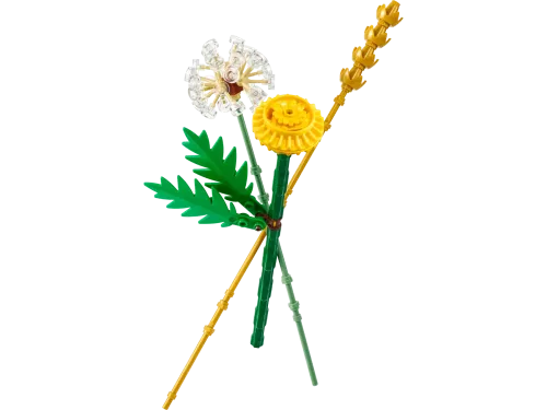 Lego Botanicals Ängsblommor 30701