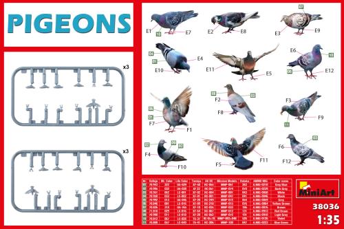 Pigeons 1:35