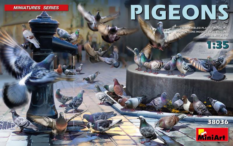Pigeons 1:35