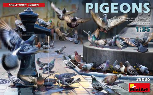 Pigeons 1:35