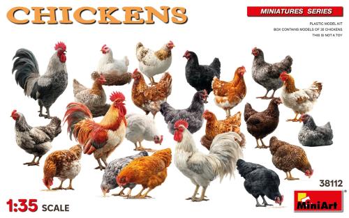 Chickens 1:35